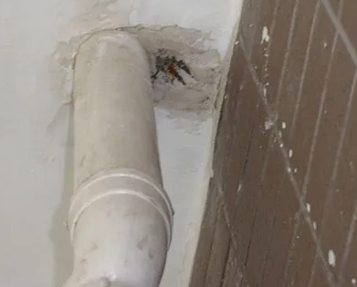 铁东漏水检测哪家好